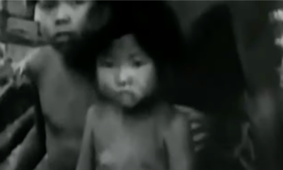 1958年中国の「四害駆除運動」による飢饉