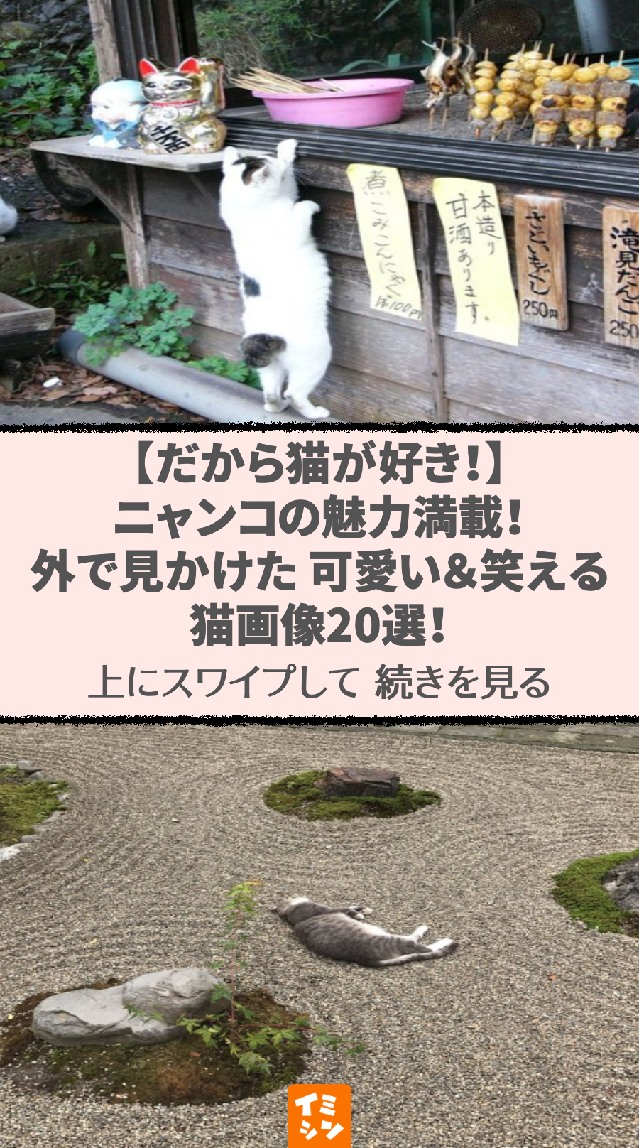 【だから猫が好き！】ニャンコの魅力満載！外で見かけた可愛い＆笑える猫画像28選！