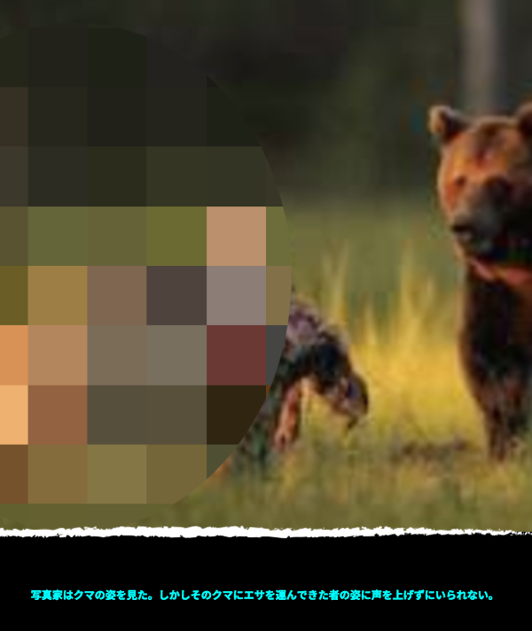 写真家はクマの姿を見た。しかしそのクマにエサを運んできた者の姿に声を上げずにいられない。
